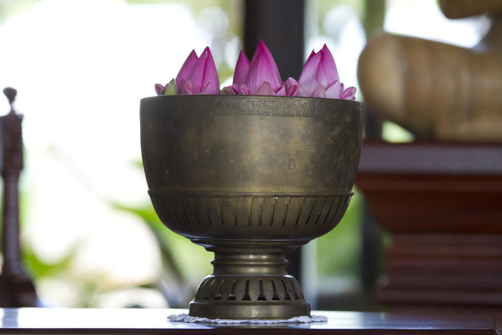Saem Siemreap Hotel Siem Reap Eksteriør bilde